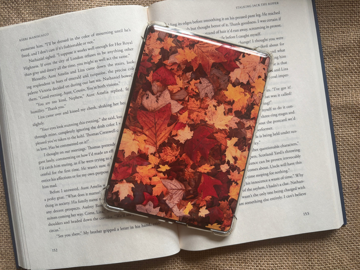 Autumn Kindle Insert Set