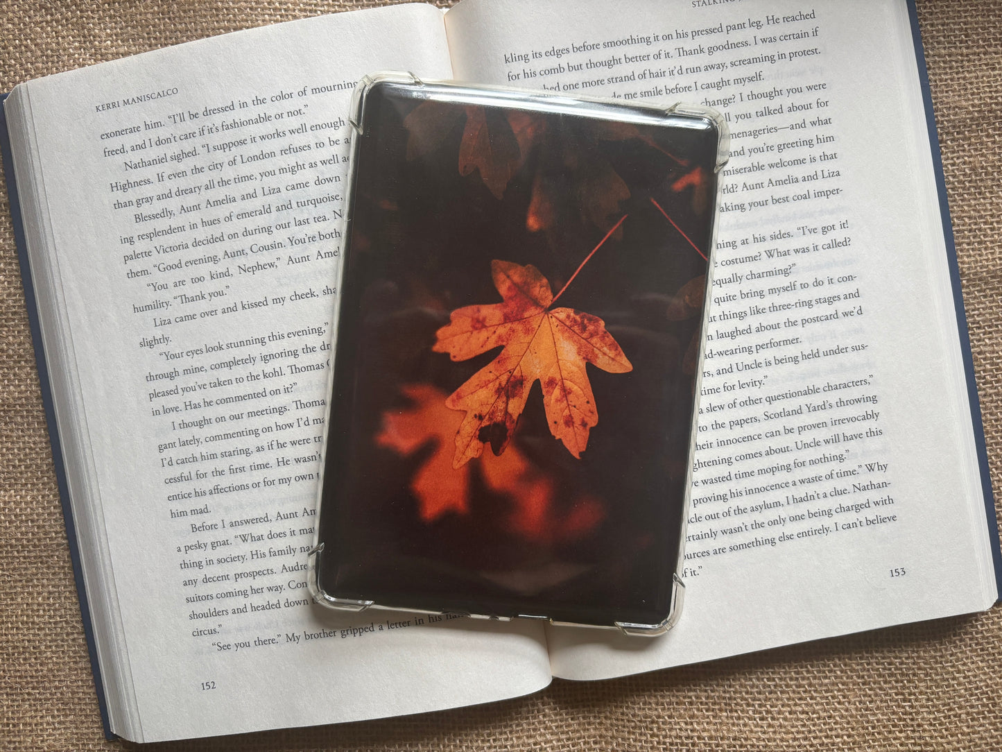 Autumn Kindle Insert Set