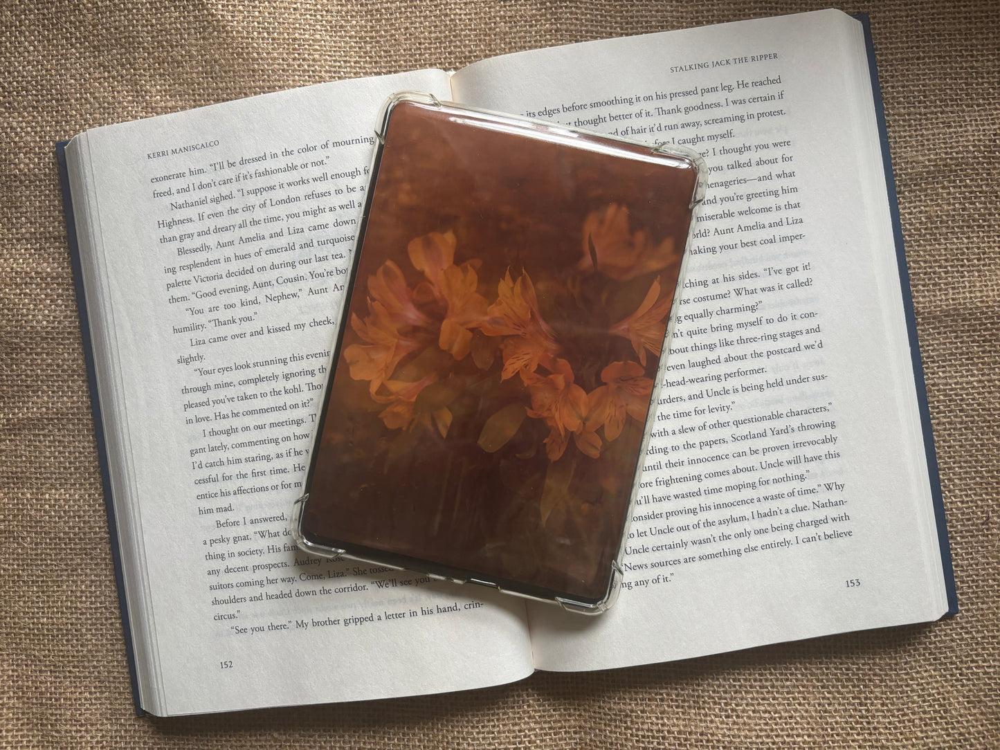 Autumn Kindle Insert Set