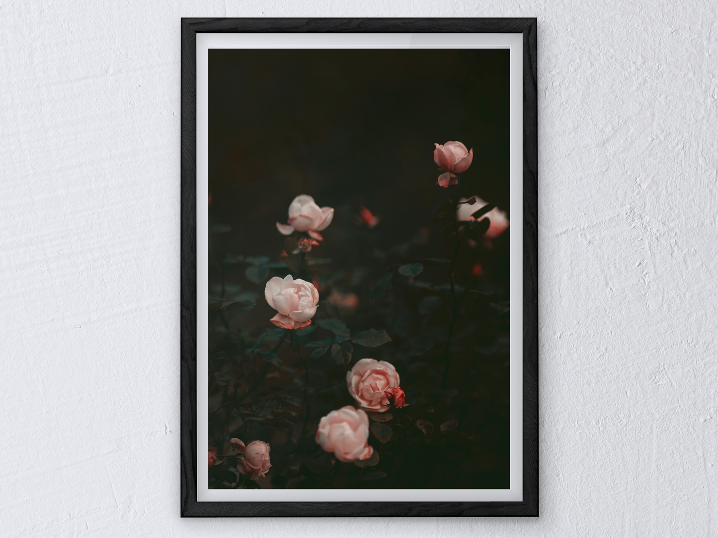 Gothic Pink Roses Print