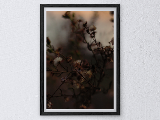 Gothic Flowers No. 1 Print