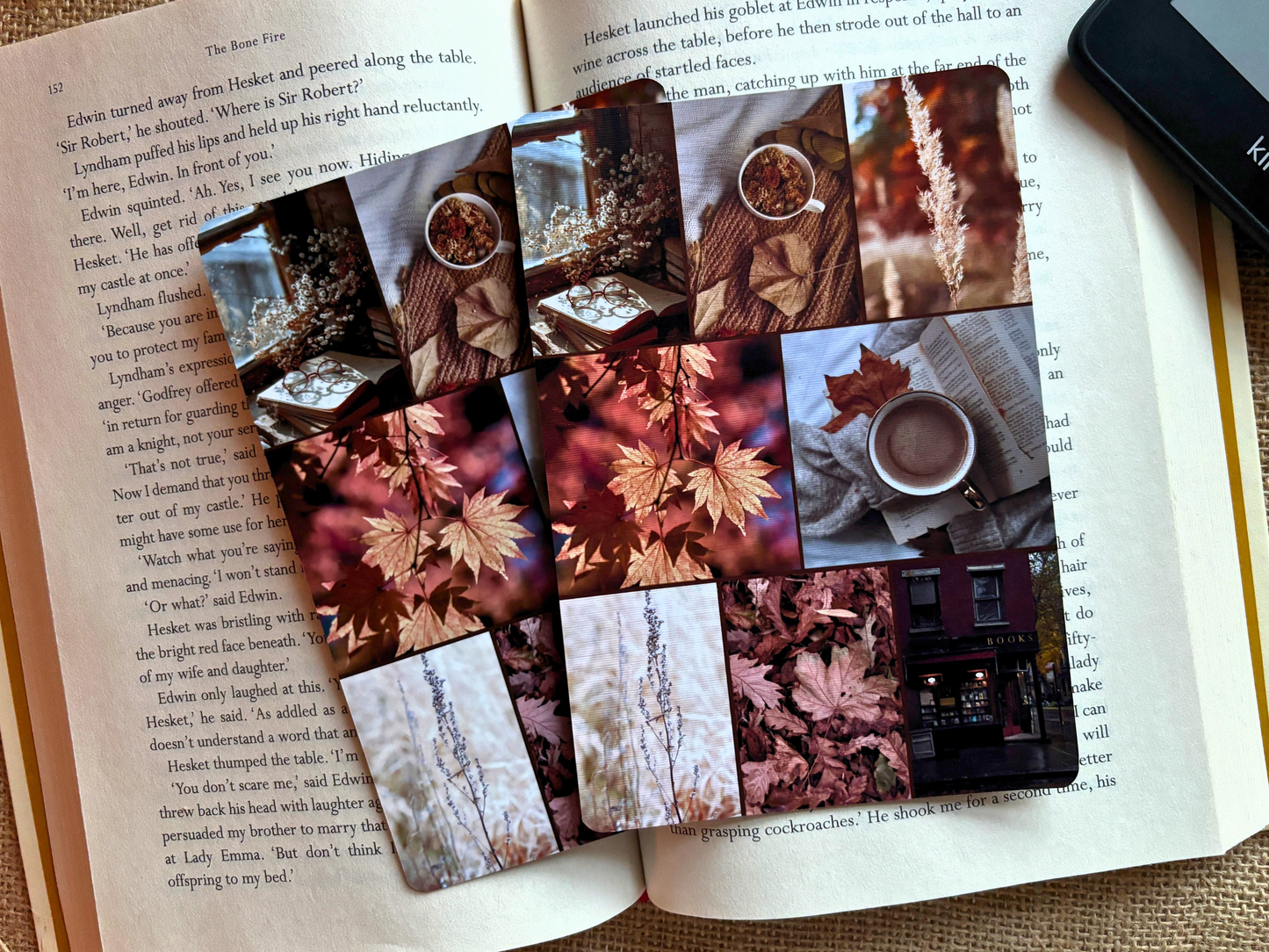 4 Seasons Kindle Case Insert Collection