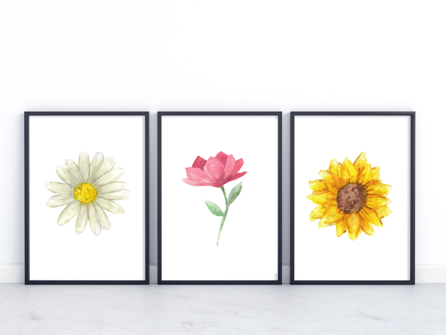 Summer Flowers Set of 3 Prints