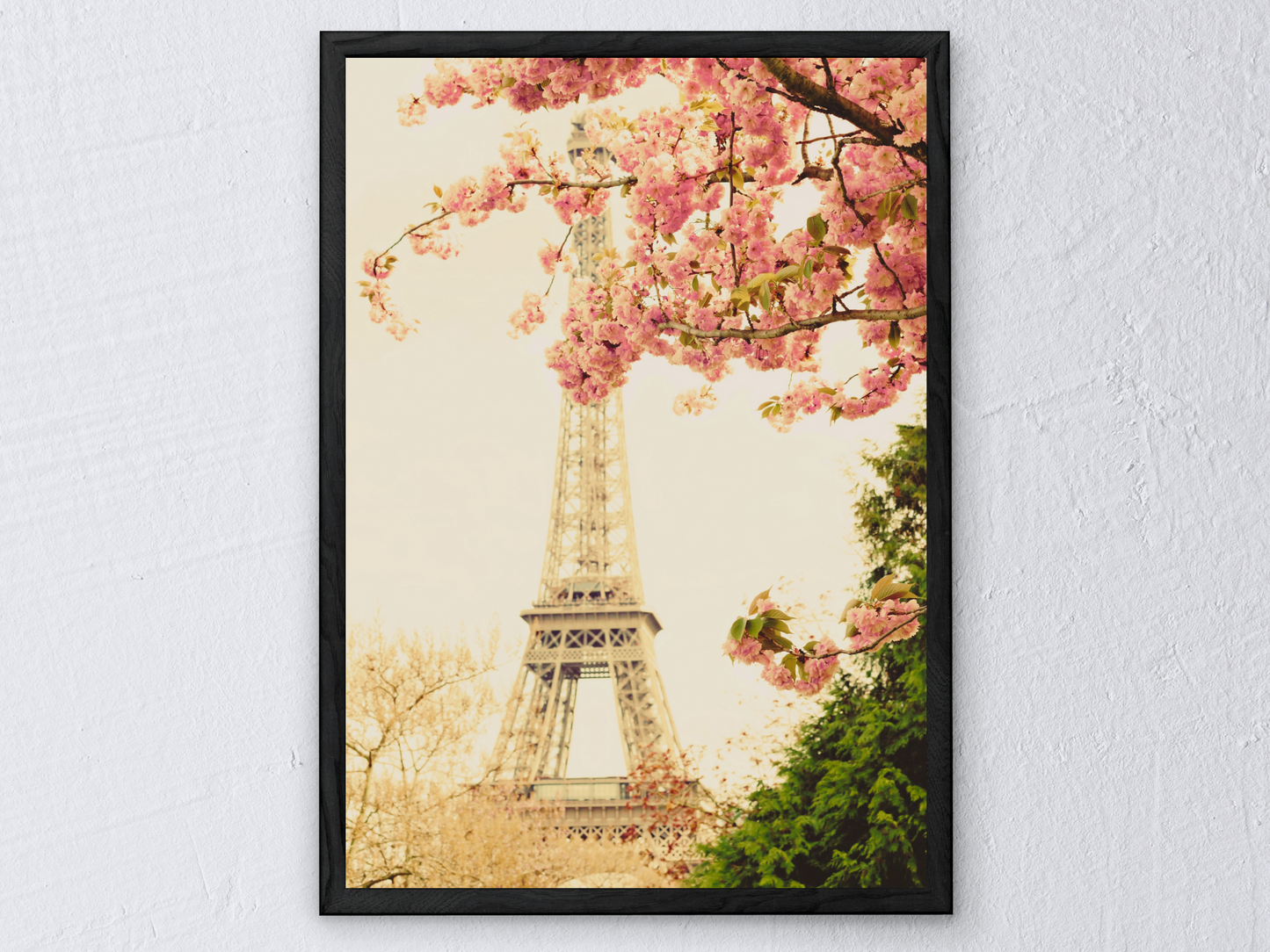 Blossom in Paris Print