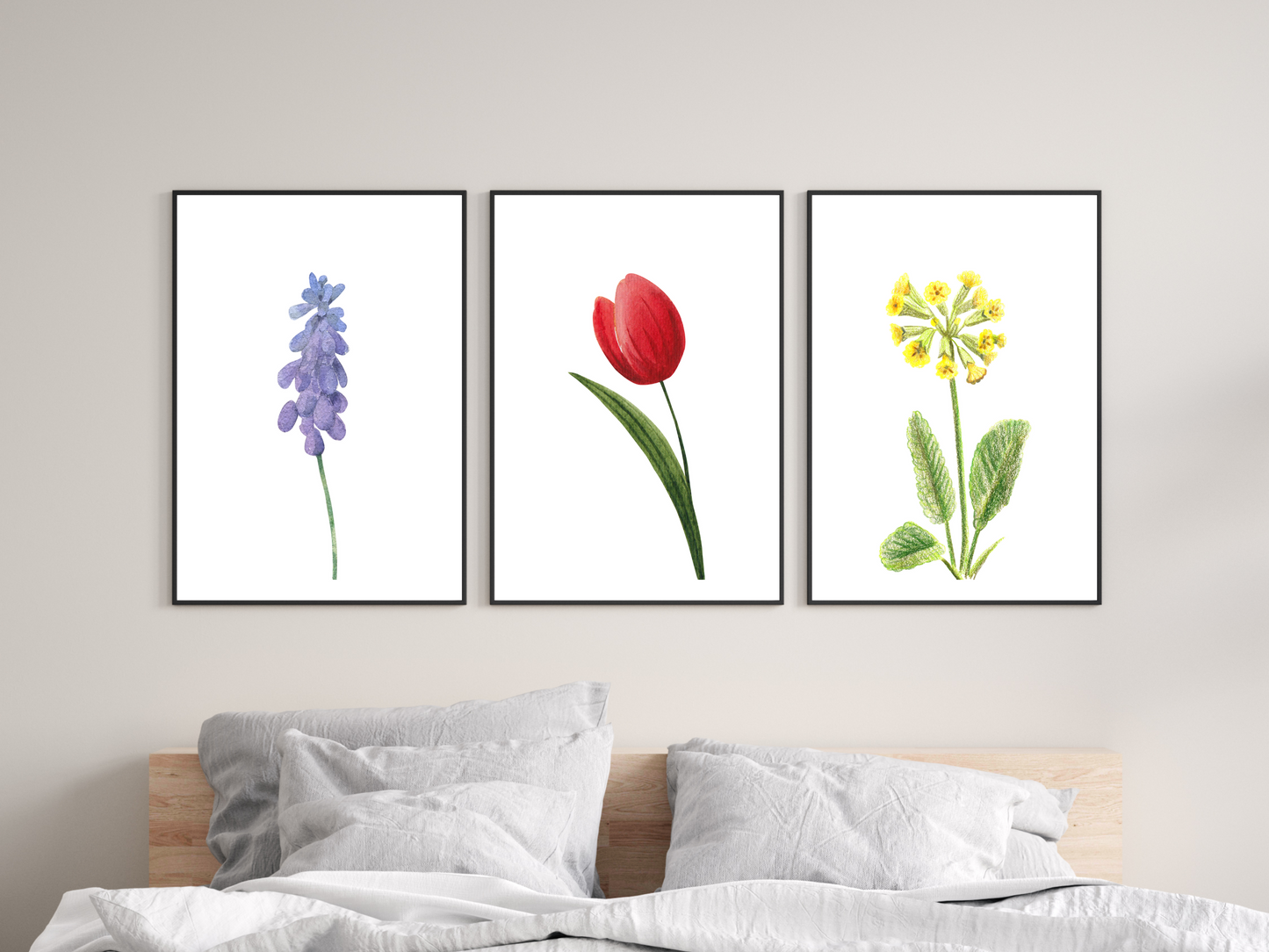 Spring Flowers Set of 3 Prints