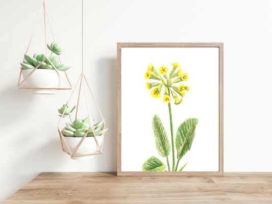 No. 4 Spring Flowers Minimalist Print